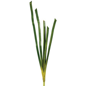 Φύλλα Μπουκέτο 122cm