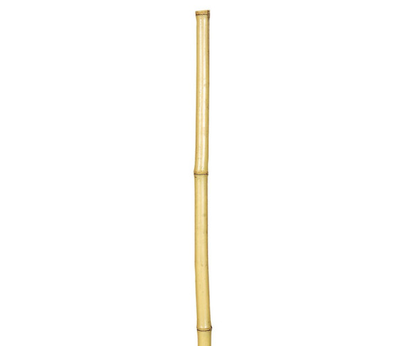 Μπαμπού Βέργες Στήριξης Φυτών 60(h)cm , Ø 6-8mm ,Σετ 6 Τεμαχίων Μπαμπού Βέργες Στήριξης Φυτών 60(h)cm , Ø 6-8mm ,Σετ 6 Τεμαχίων
