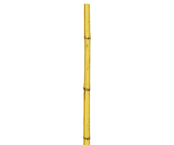 Μπαμπού Βέργες Στήριξης Φυτών 120(h)cm , Ø 10-12mm ,Σετ 6 Τεμαχίων Μπαμπού Βέργες Στήριξης Φυτών 120(h)cm , Ø 10-12mm ,Σετ 6 Τεμαχίων