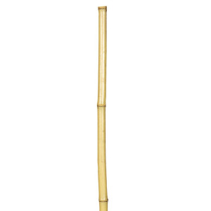 Μπαμπού Βέργες Στήριξης Φυτών 120(h)cm , Ø 12-14mm 