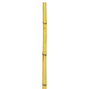 Μπαμπού Βέργες Στήριξης Φυτών 300(h)cm , Ø 28-30mm 
