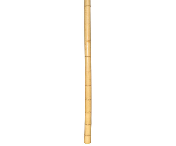 Μπαμπού Βέργες Στήριξης Φυτών 300(h)cm , Ø 10-12mm Μπαμπού Βέργες Στήριξης Φυτών 300(h)cm , Ø 10-12mm