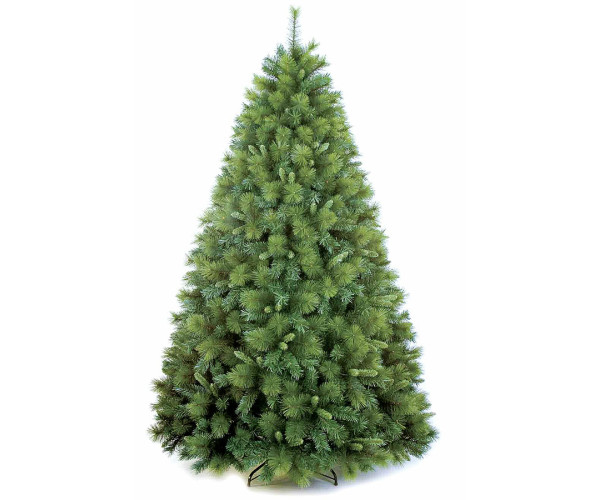 Χριστουγεννιάτικο δέντρο Mixed Carolina σε παραδοσιακή γραμμή ύψους 2,40m