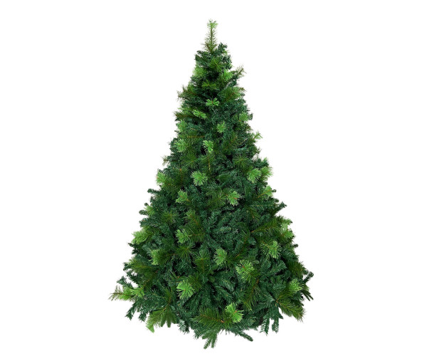 Χριστουγεννιάτικο δέντρο Makalu Fir σε παραδοσιακή γραμμή ύψους 2,10m