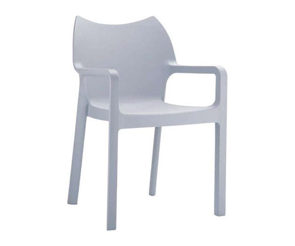 DIVA SILVER GREY ΠΟΛΥΘΡΟΝΑ ΠΟΛ/ΝΙΟΥ 20.0086